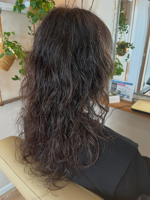 画像256