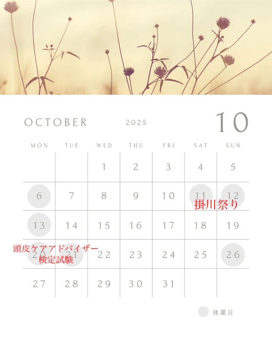 画像286