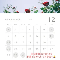 画像300
